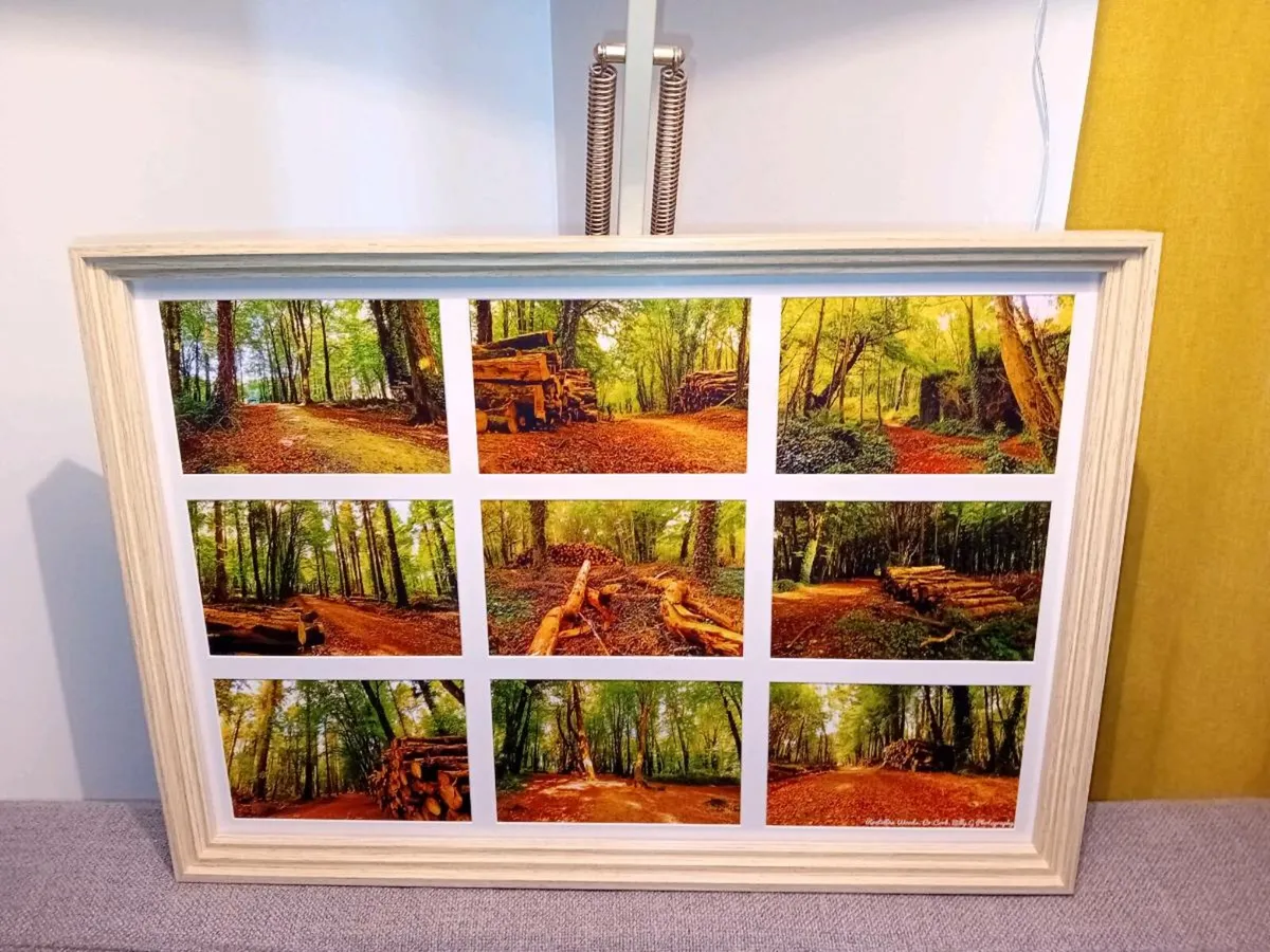 Rostellan Woods - Image 1