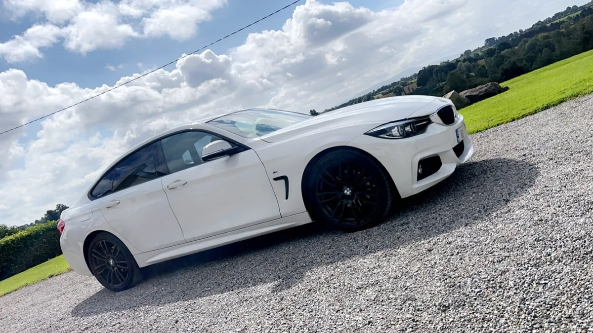 BMW 420D M Sport - Image 1