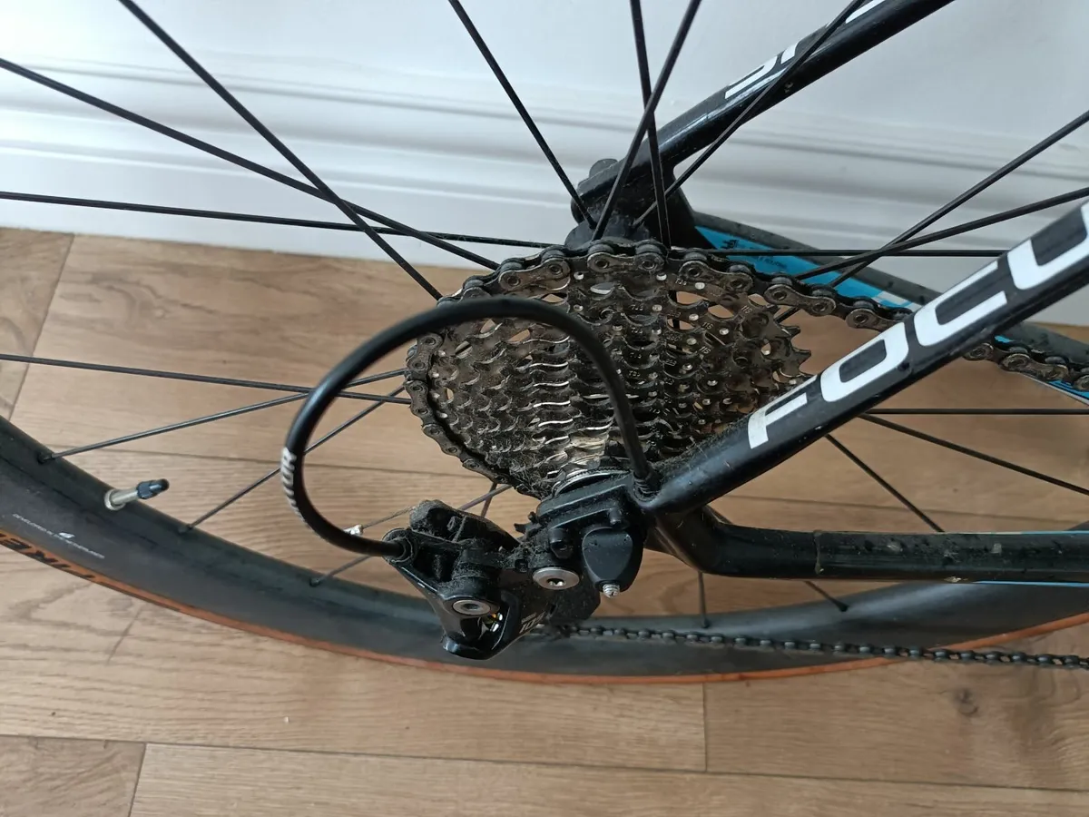 Full Carbon Focus road bike - Image 2