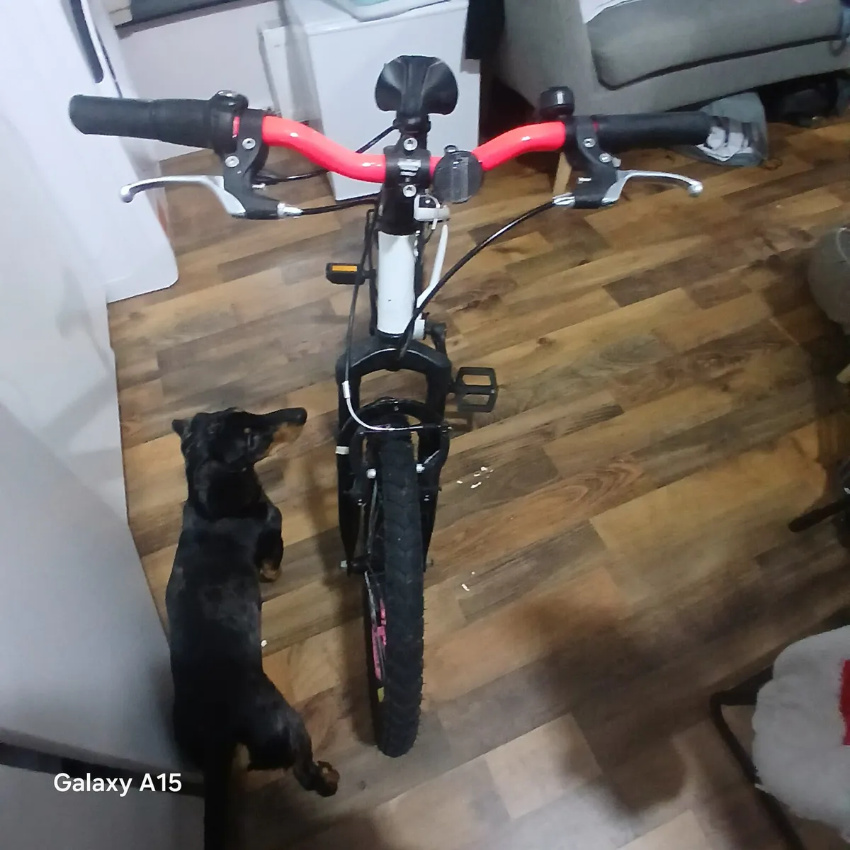 Childs mountain bike - Image 4