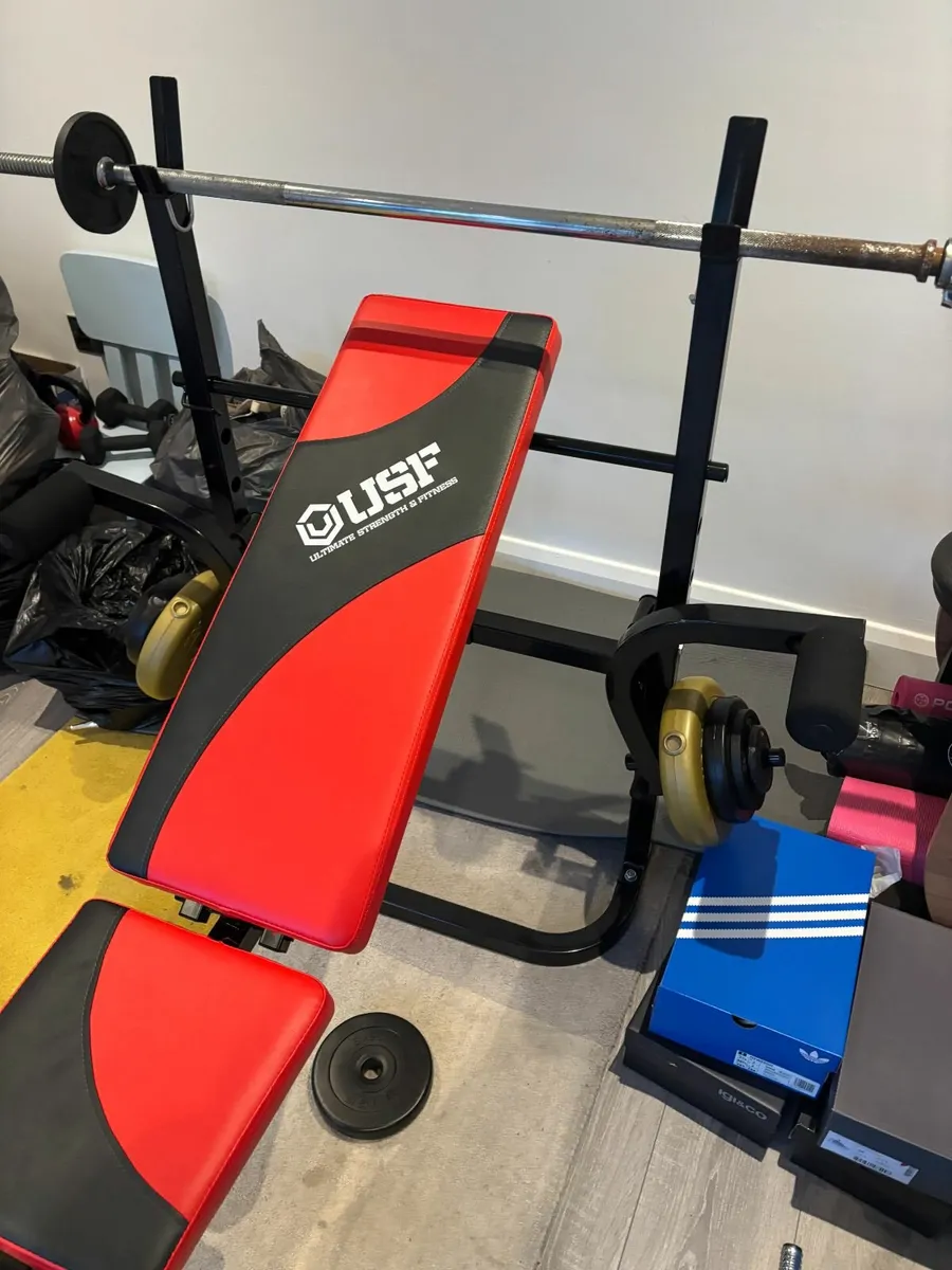 USF WEIGHT BENCH - Image 2