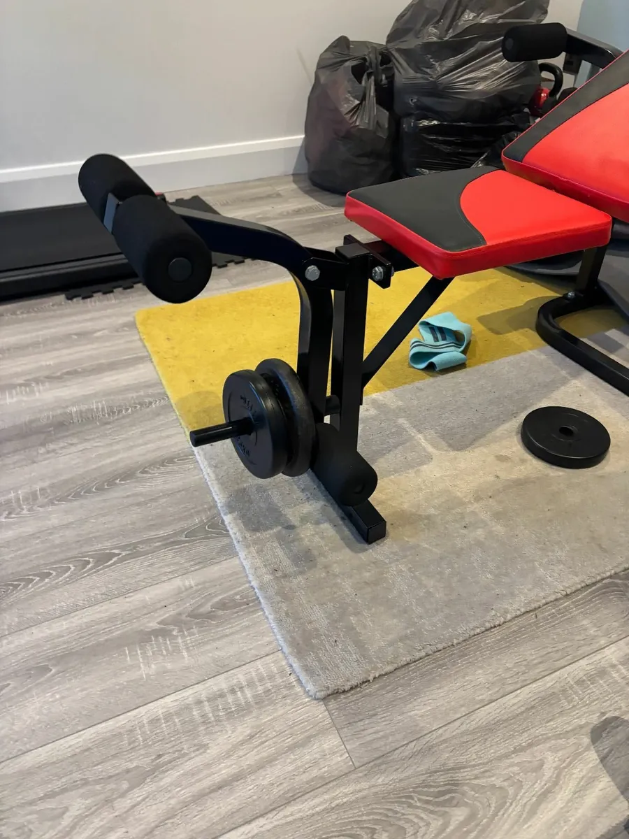 USF WEIGHT BENCH - Image 4