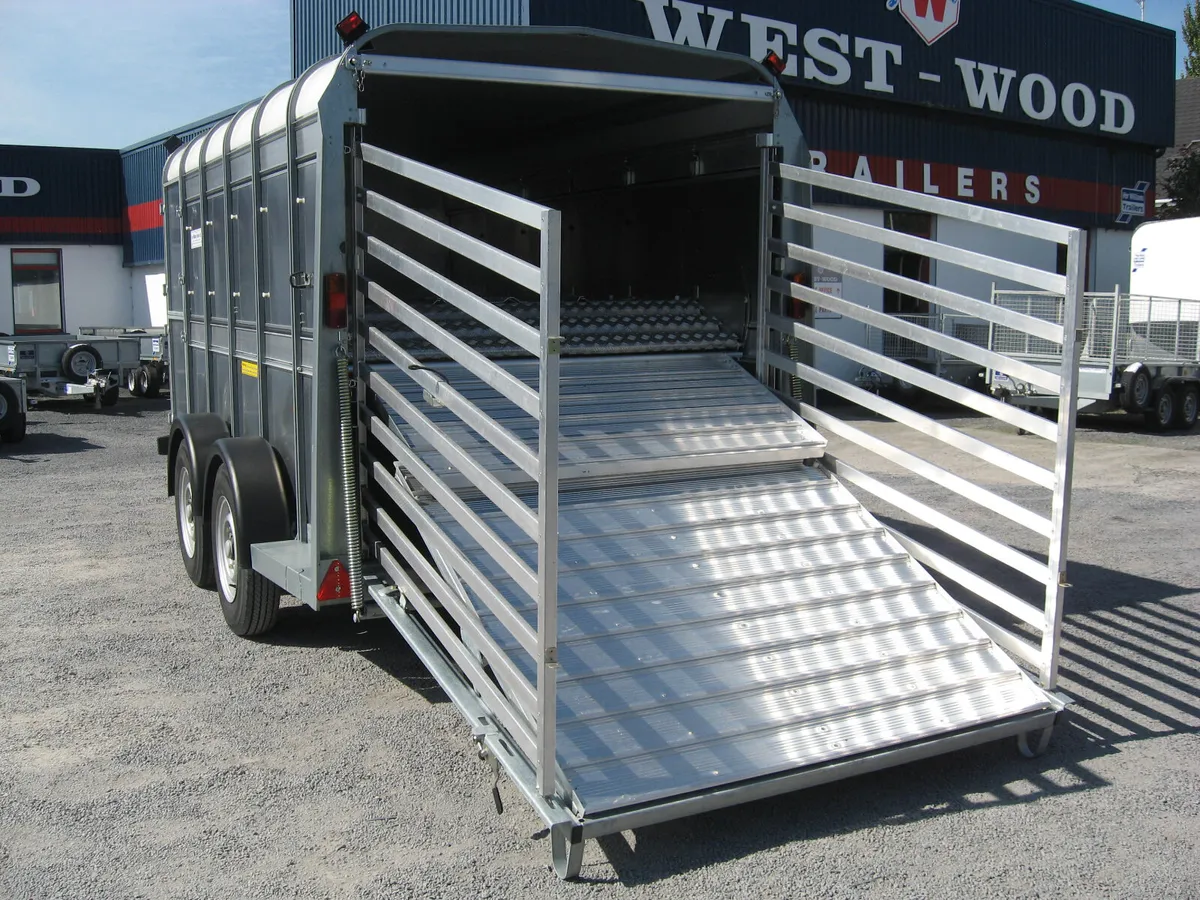 T3039619  Demo TA5 12' x 5' x 6' Ifor Williams - Image 2