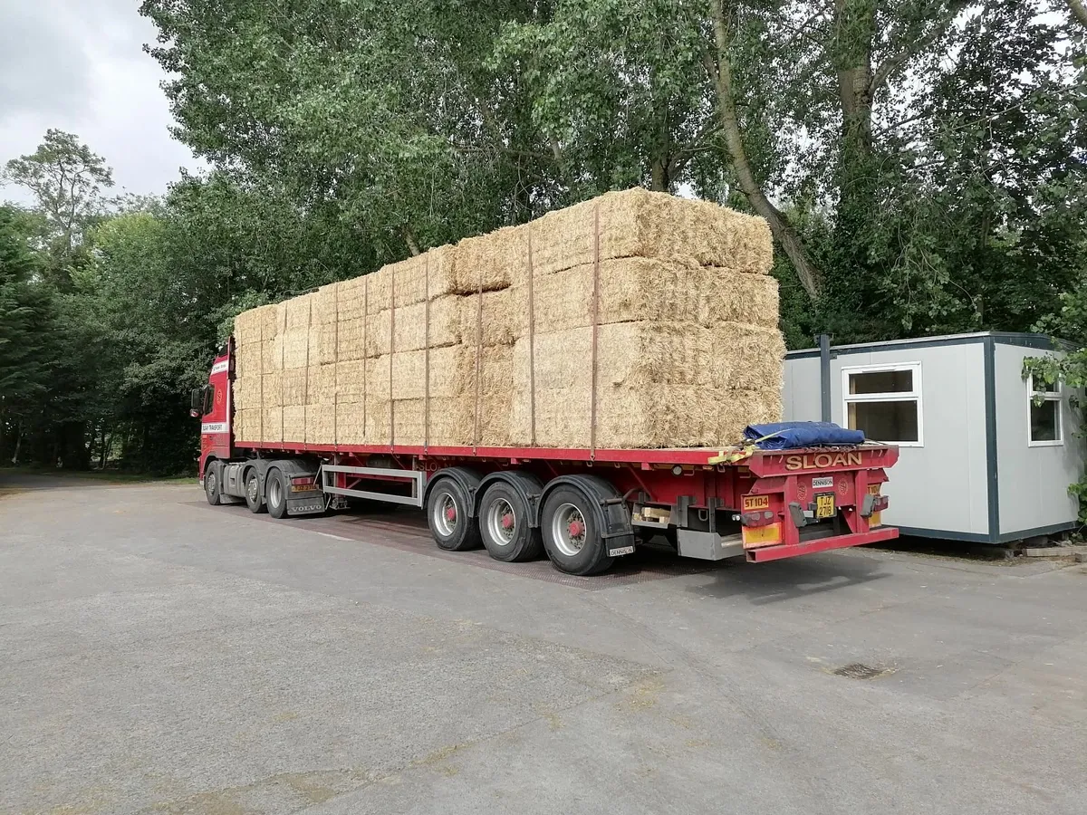 Alfalfa and chopped straw, pellets and crumb too - Image 3