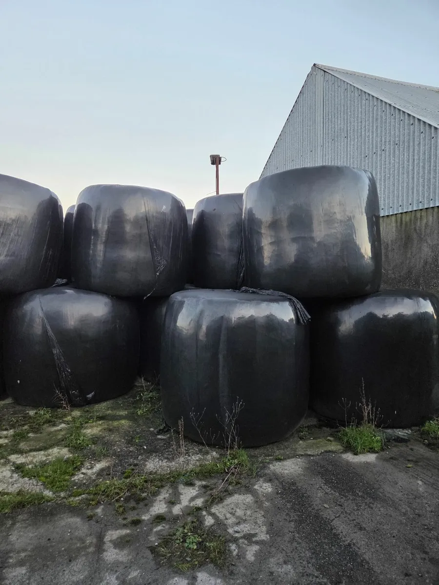 Haylage silage - Image 1