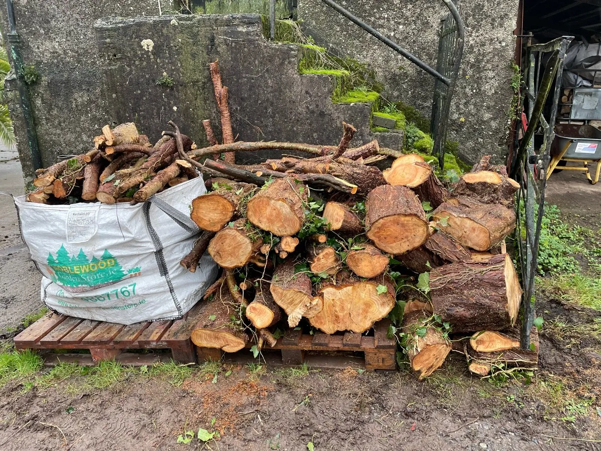 Firewood rings and lengths - Image 1
