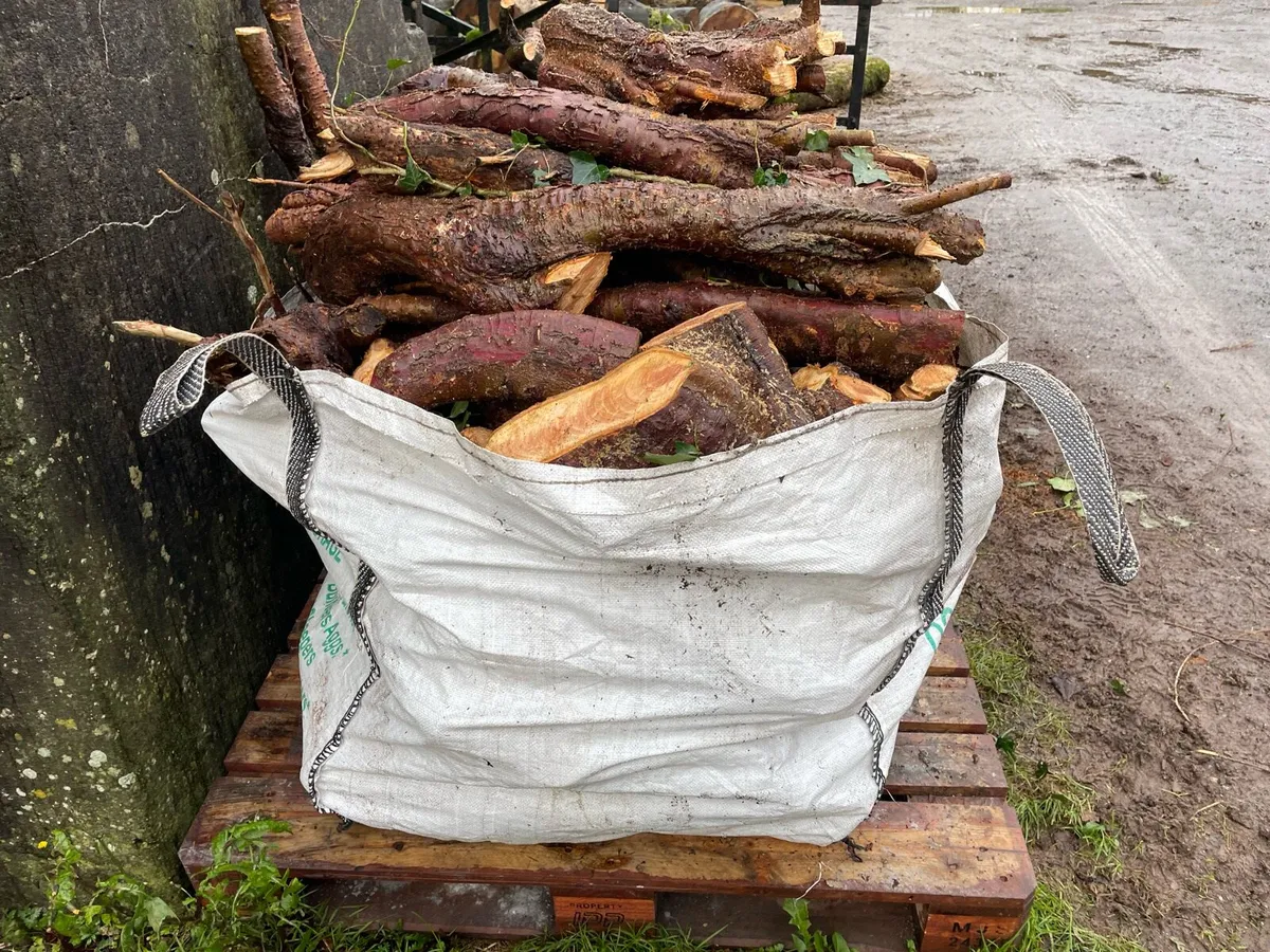 Firewood rings and lengths - Image 2