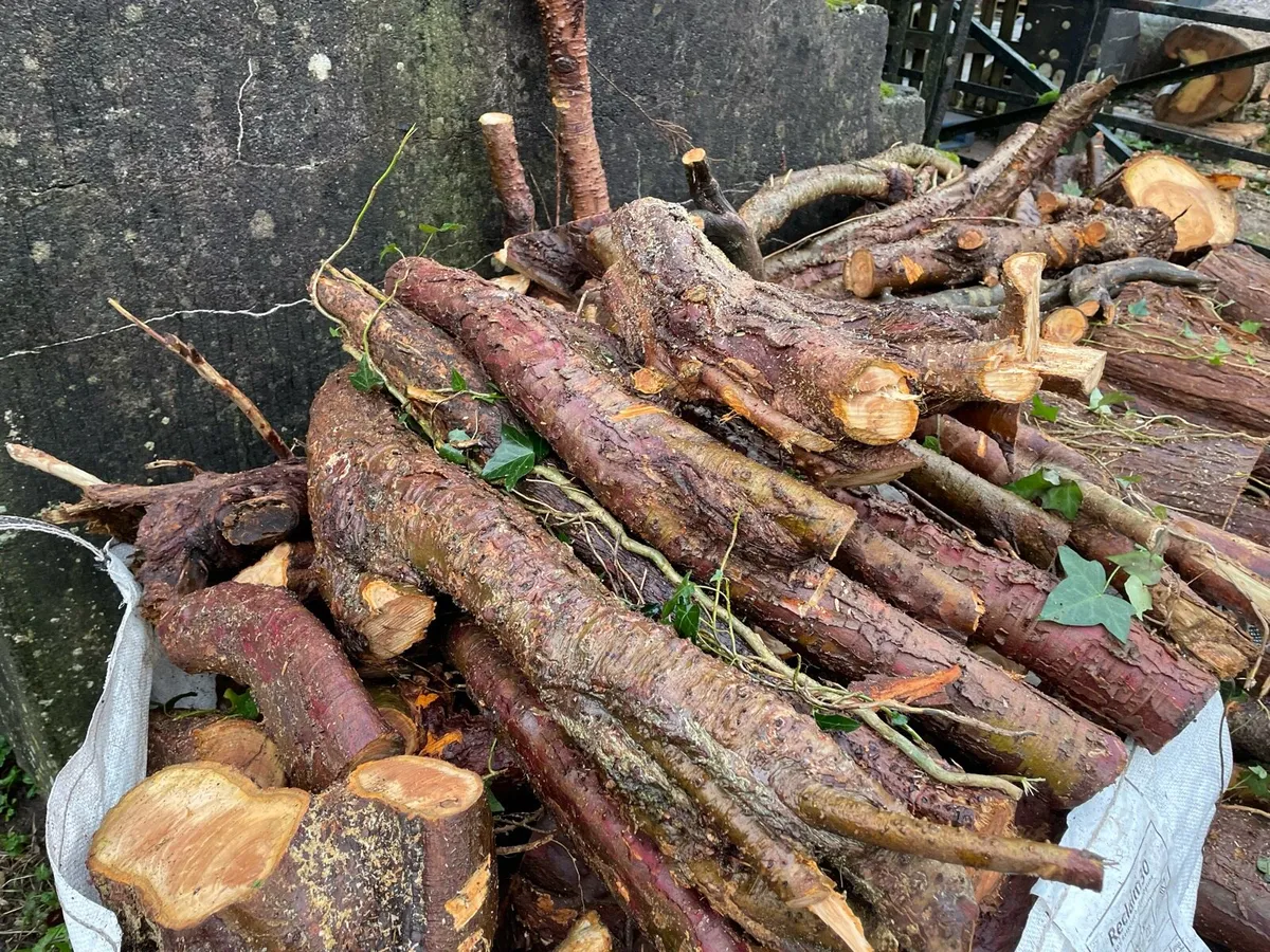 Firewood rings and lengths - Image 3