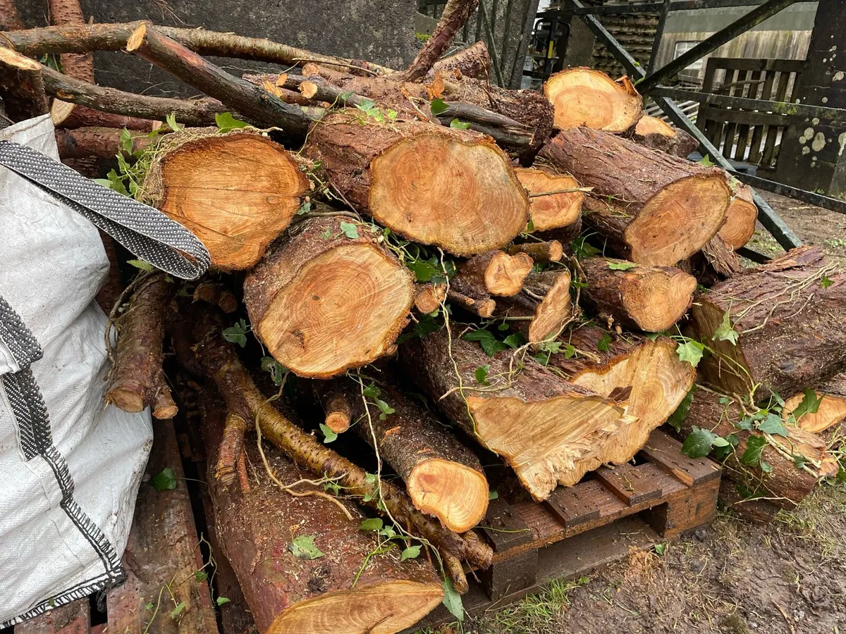 Firewood rings and lengths - Image 4