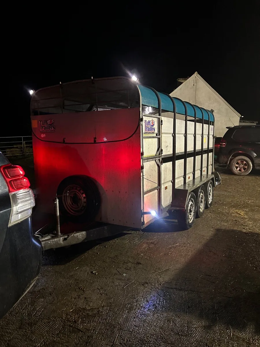 14ft tuffmac with decks - Image 1