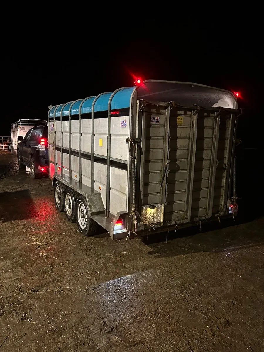 14ft tuffmac with decks - Image 2