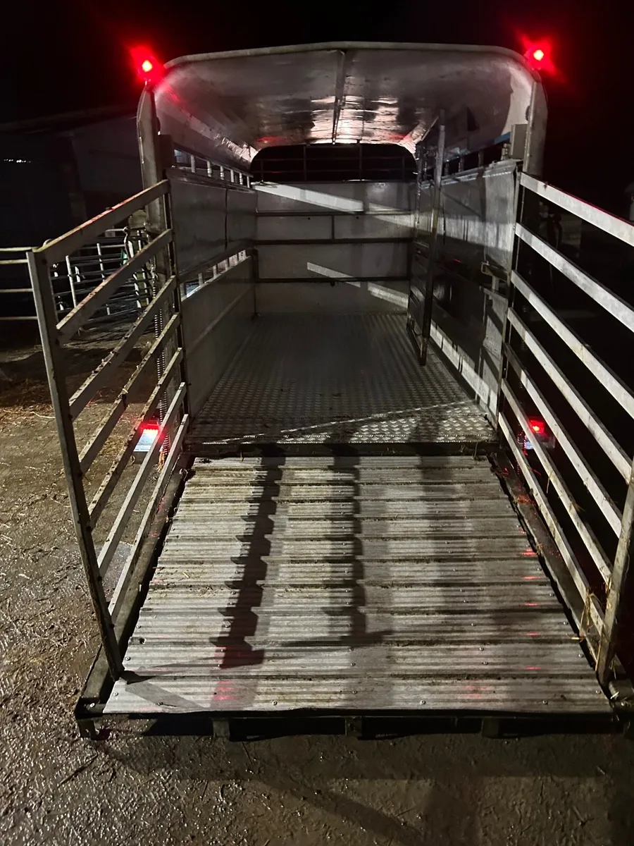 14ft tuffmac with decks - Image 3