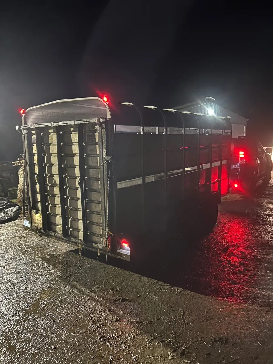 14ft tuffmac with decks - Image 4