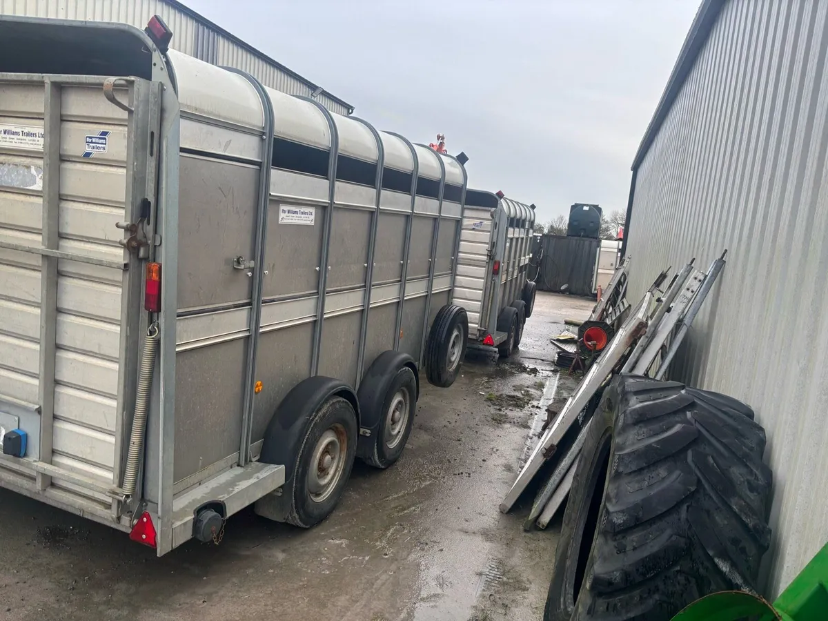 Ifor Williams 12x6 Livestock Trailers x2 - Image 3