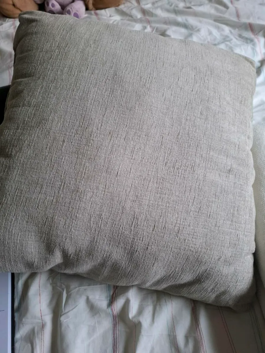 Couch Cushions - Image 4