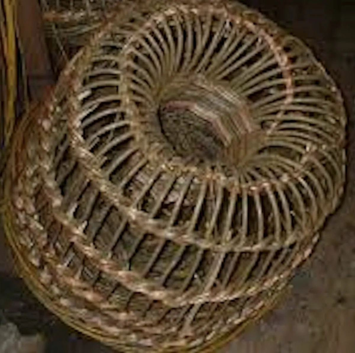 Willow Rods for weaving furniture, borders, basket - Image 4