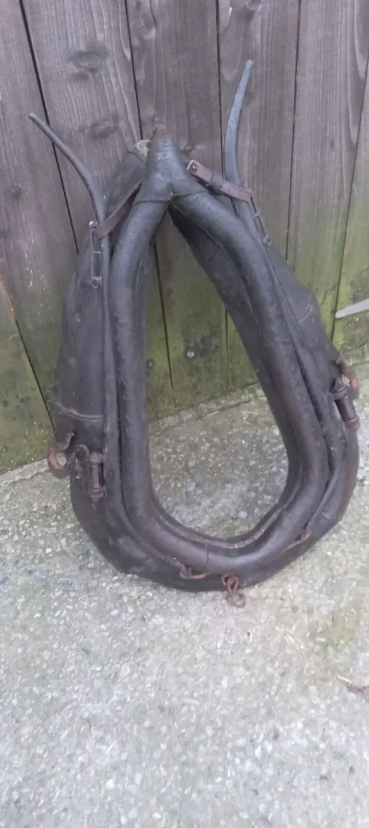 Horse tack - Image 1