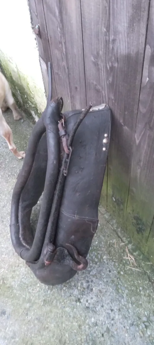 Horse tack - Image 2