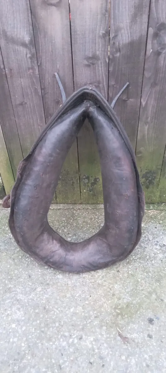 Horse tack - Image 3