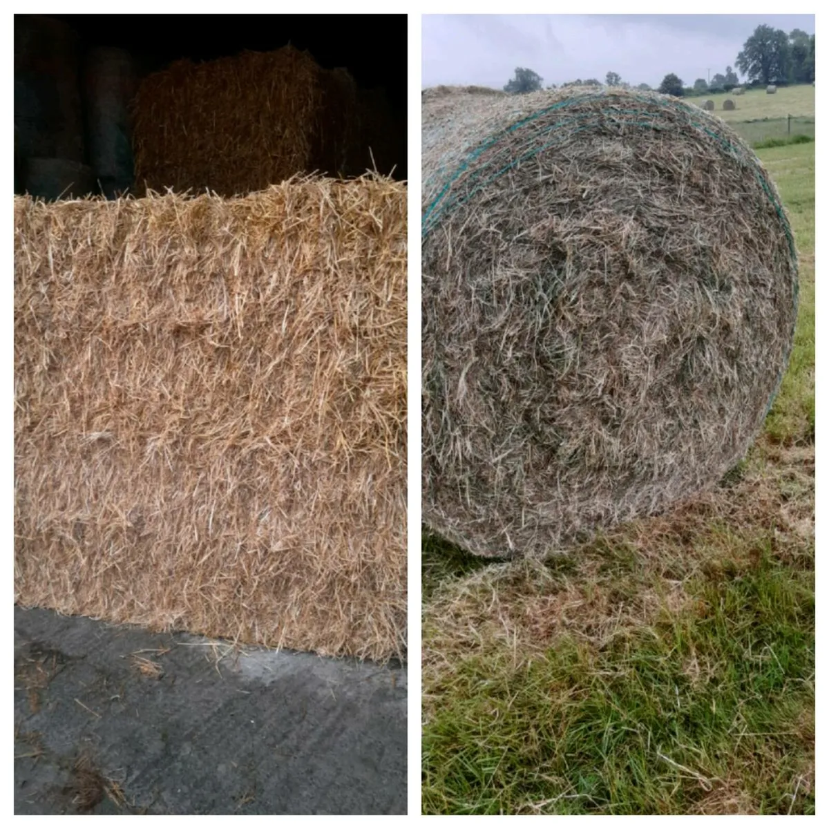 Hay and Straw For Sale - Image 1