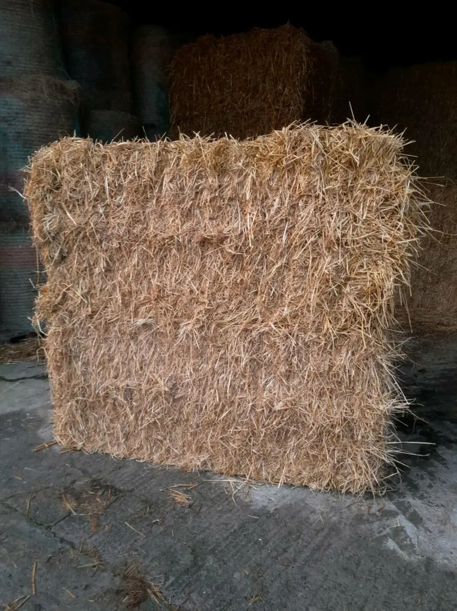 Hay and Straw For Sale - Image 3