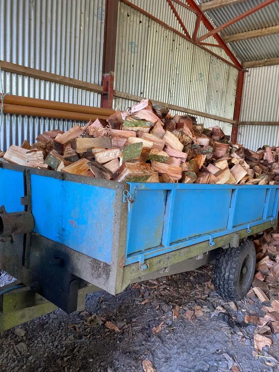 Firewood for sale. - Image 2