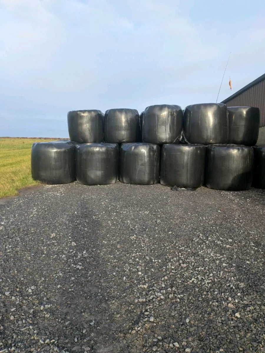 round bales Silage