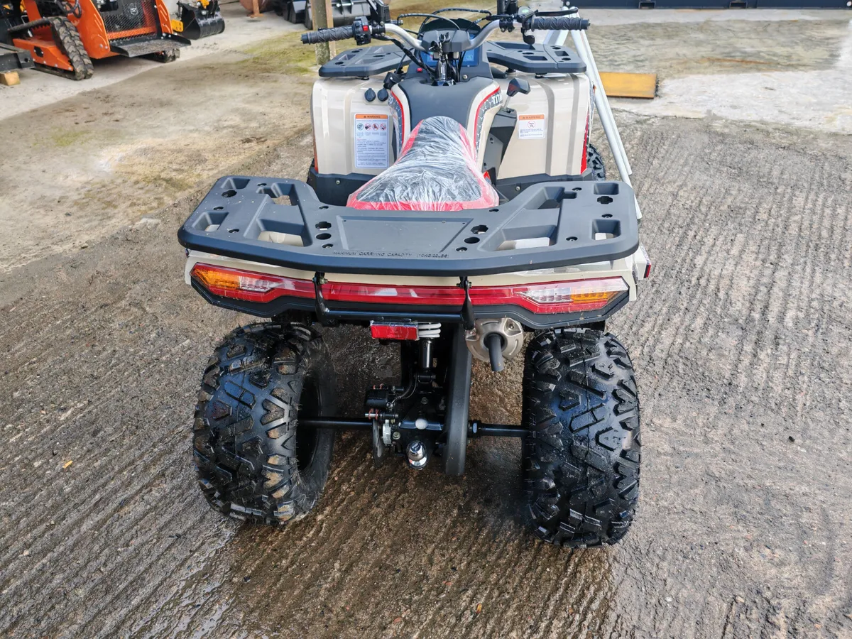 Quad Titan 250 unused - Image 3
