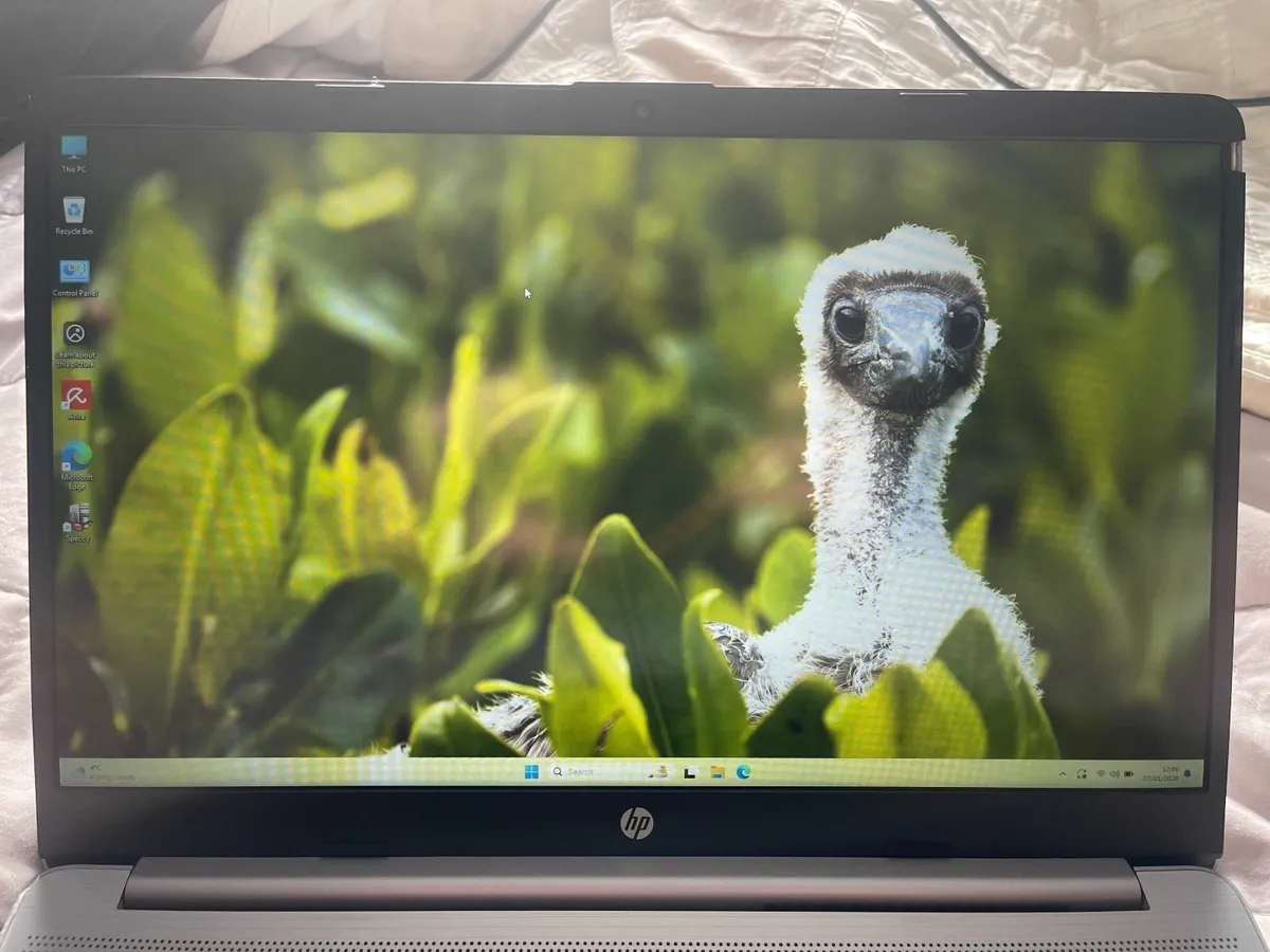 HP 250 G9 - i7(12th) - 16GB - 512GB SSD - Image 2