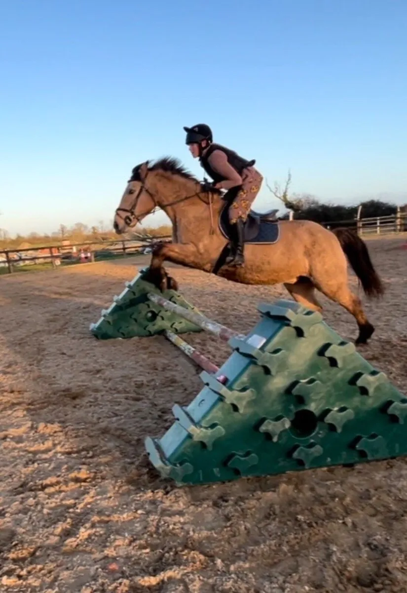 Mocha ⭐️ - Image 3