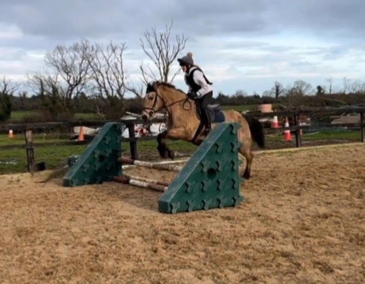 Mocha ⭐️ - Image 4