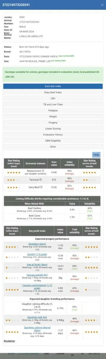 5⭐️ LISKILLEN ABSALOUTE AA BULL - Image 4