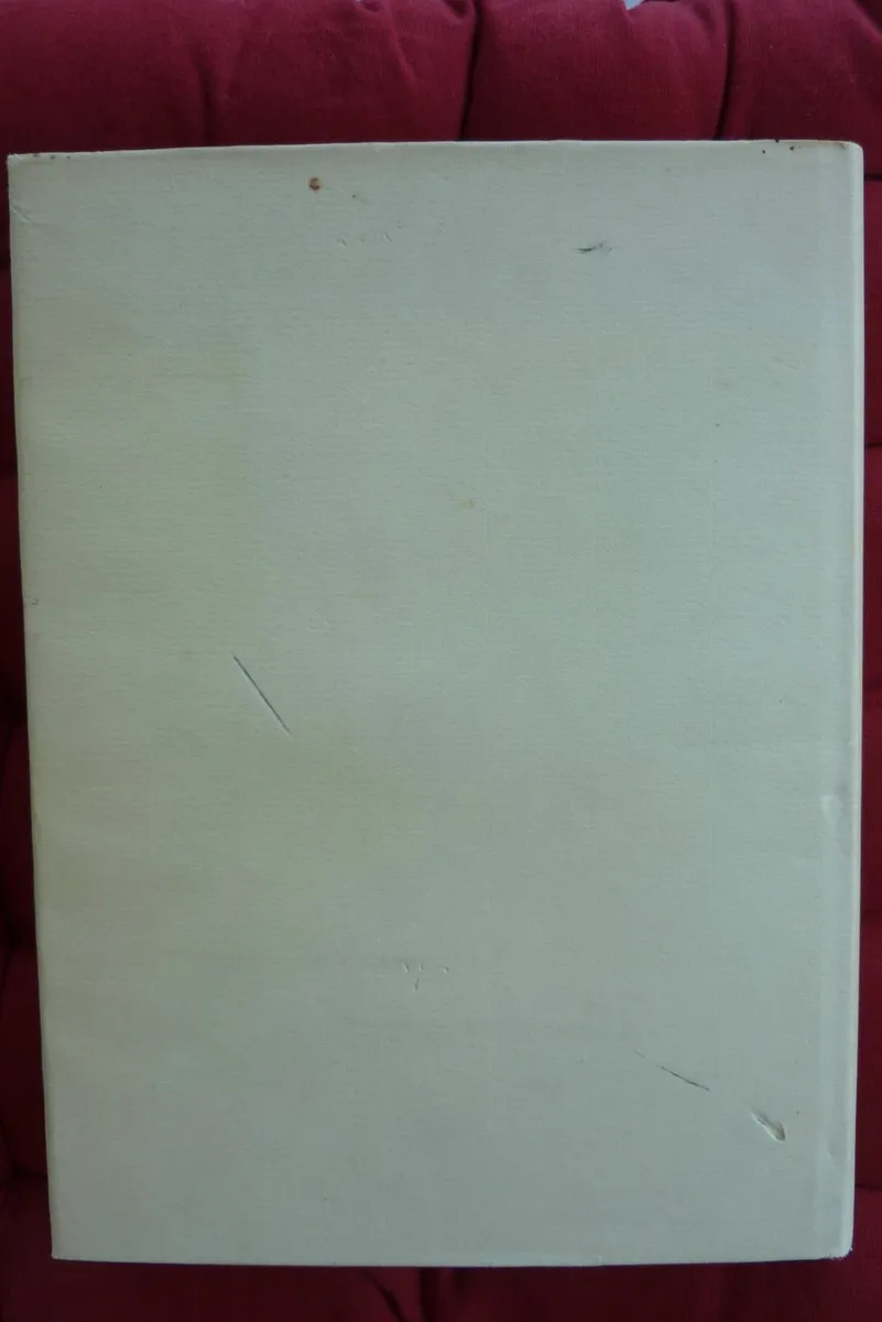 Irish Anglicanism 1869-1969 (book) - Image 4