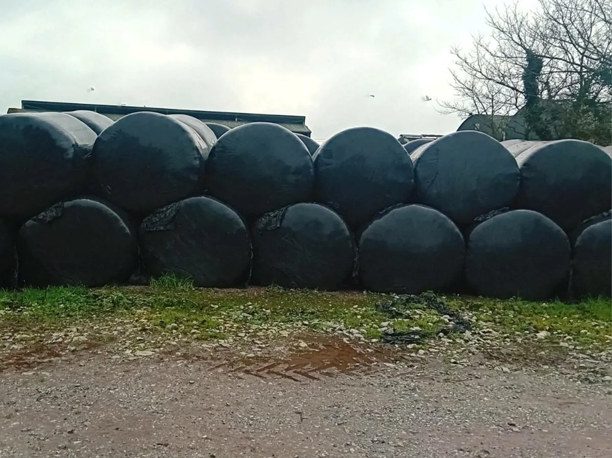Silage Bales