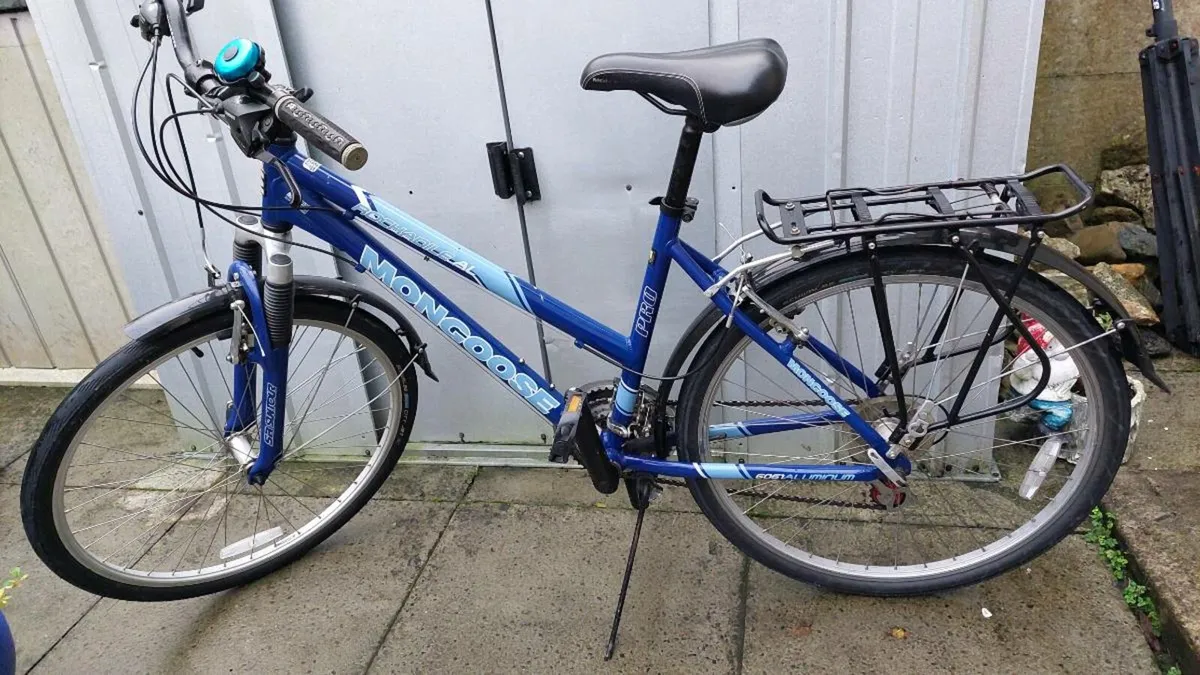 Ladies Pro Trekking Bike - Image 3