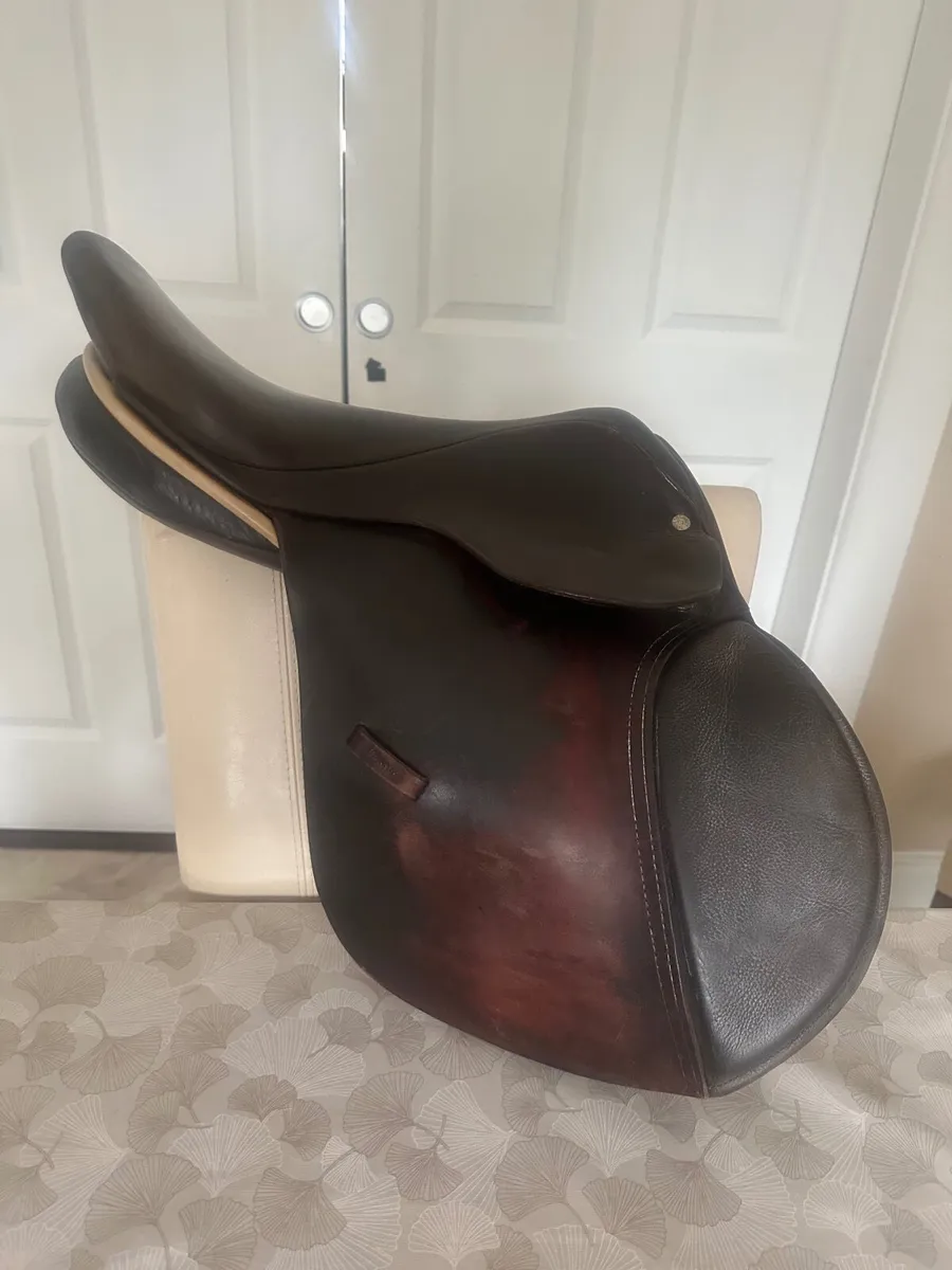 Saddle - Image 2