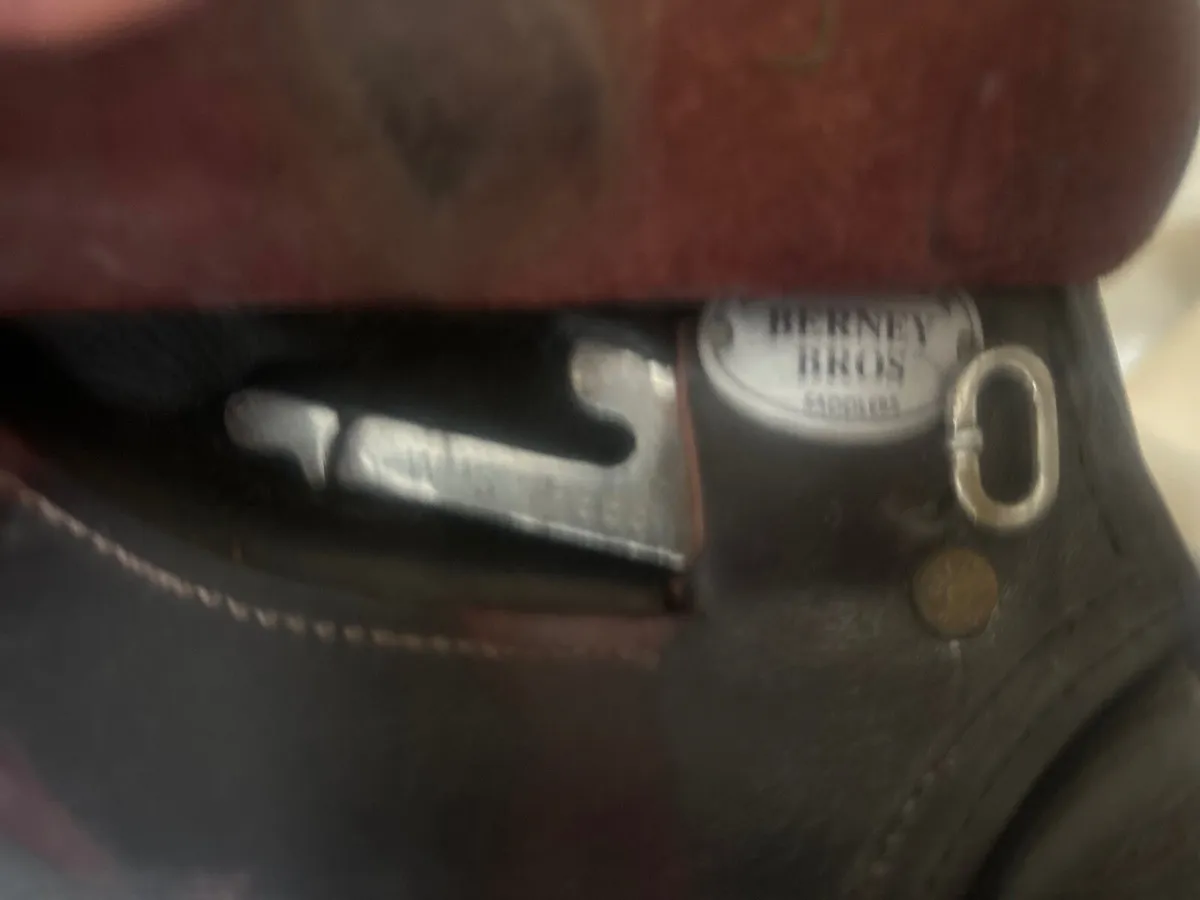 Saddle - Image 3