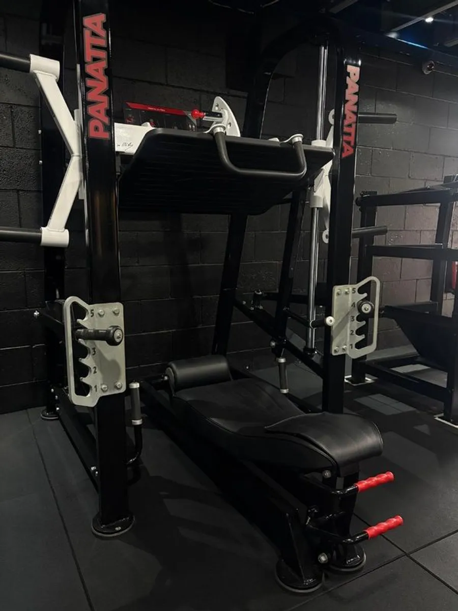Panatta vertical leg press - Image 1