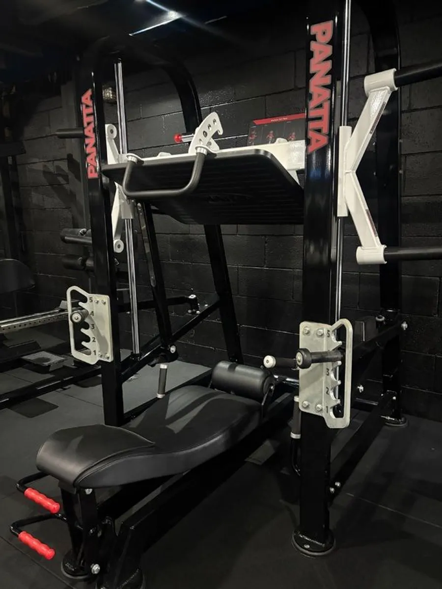 Panatta vertical leg press - Image 3