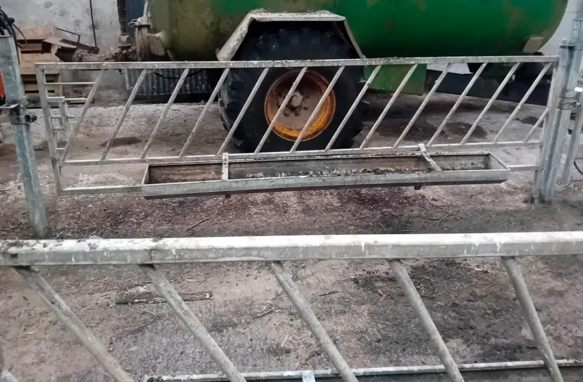 Calf pens and feeders - Image 1