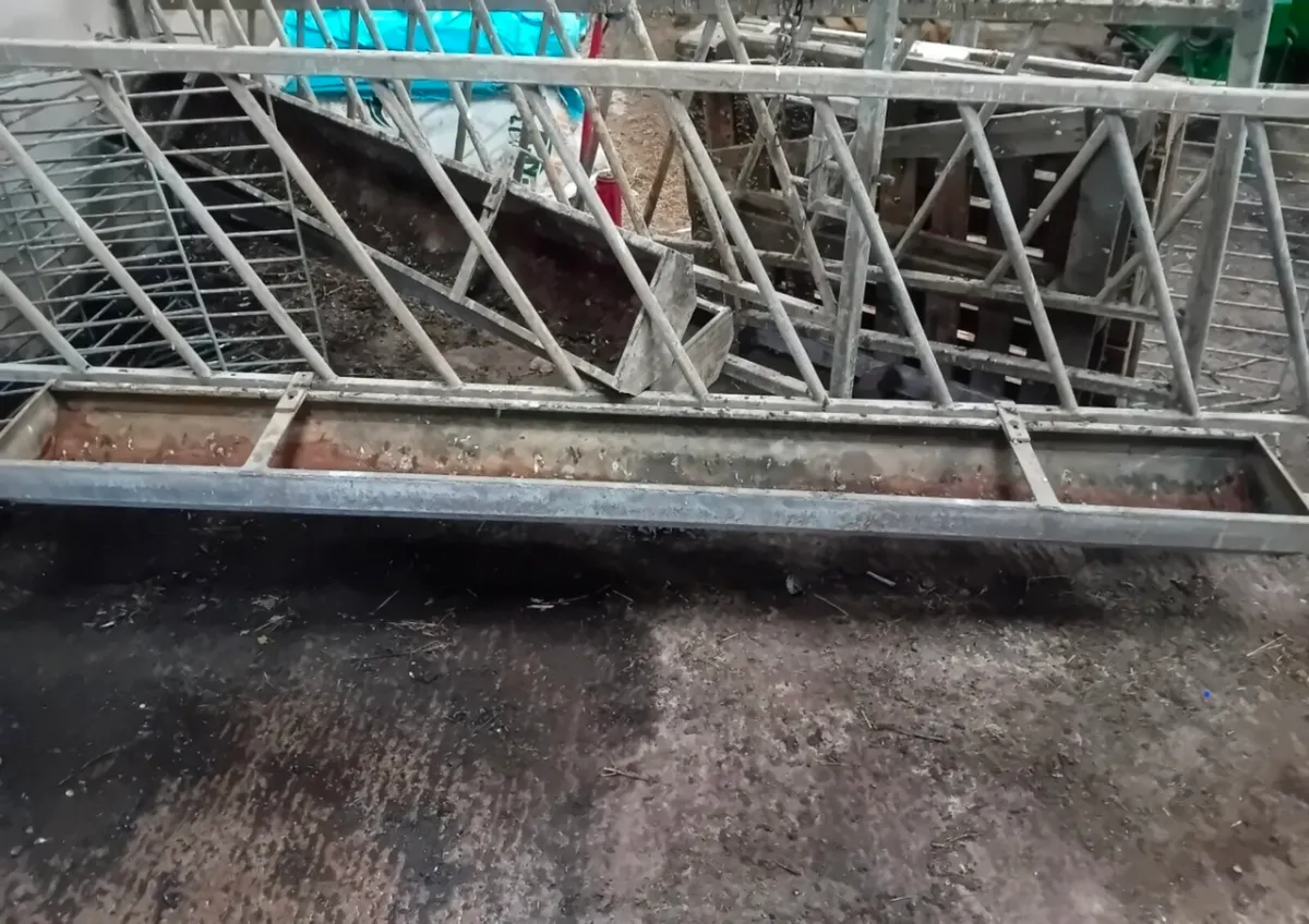 Calf pens and feeders - Image 2