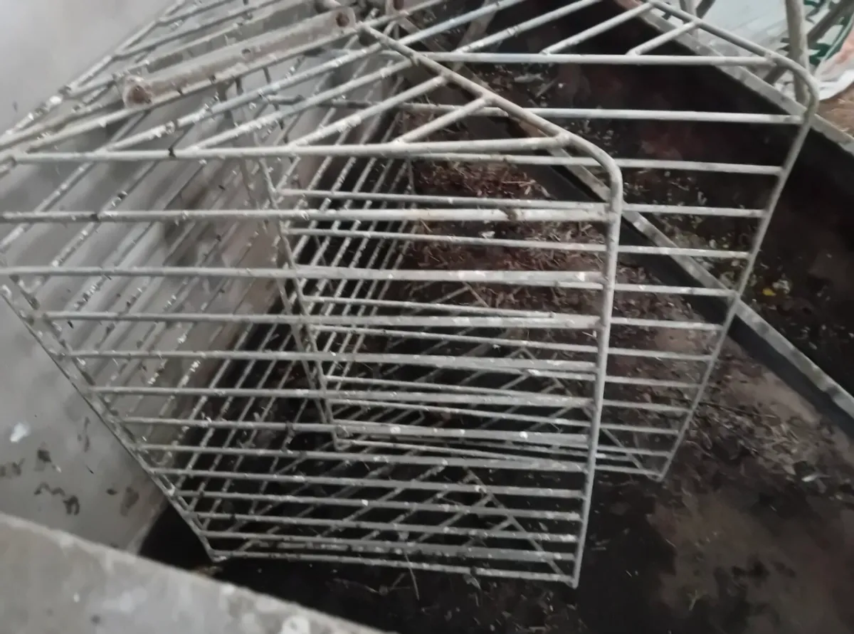 Calf pens and feeders - Image 4