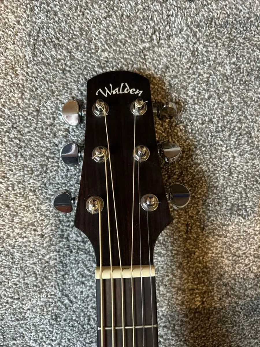Walden Semi Acoustic Guitar - Image 2