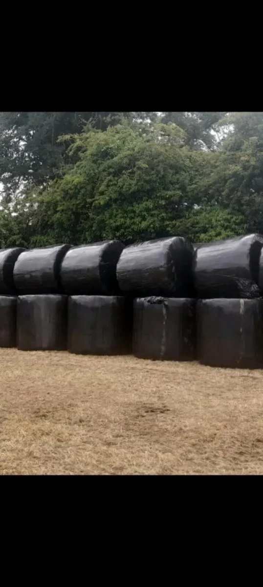 Round bales haylage