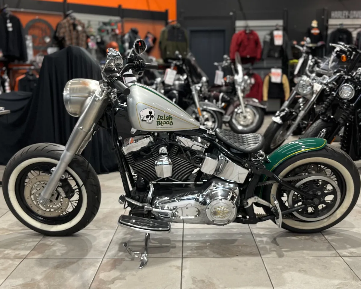 HARLEY-DAVIDSON SOFTAIL IRISH BLOOD CUSTOM - Image 4