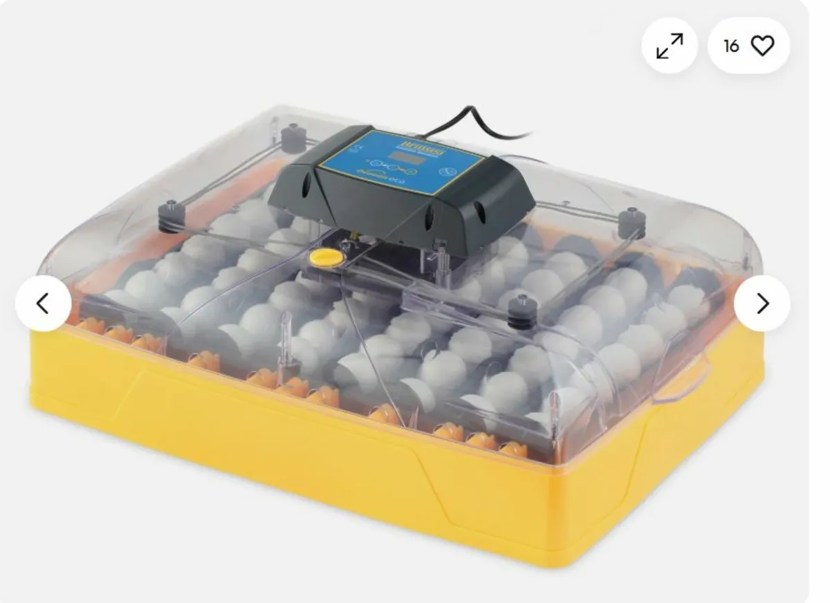 EGG Incubator WANTED