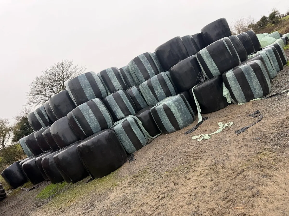 Silage - Image 1