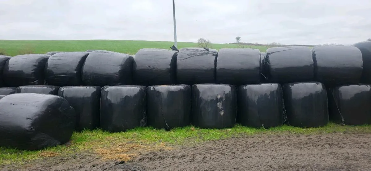 Bales of Silage