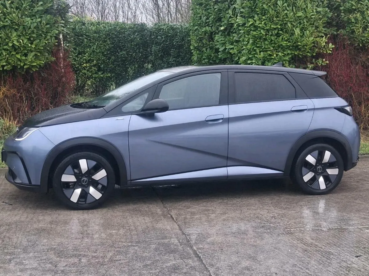 2024 BYD DOLPHIN DESIGN, DRIVE HOME - Image 2