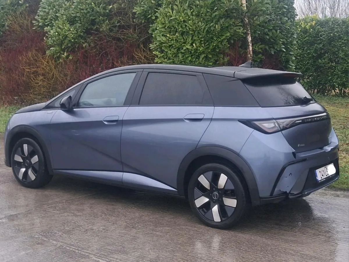 2024 BYD DOLPHIN DESIGN, DRIVE HOME - Image 3